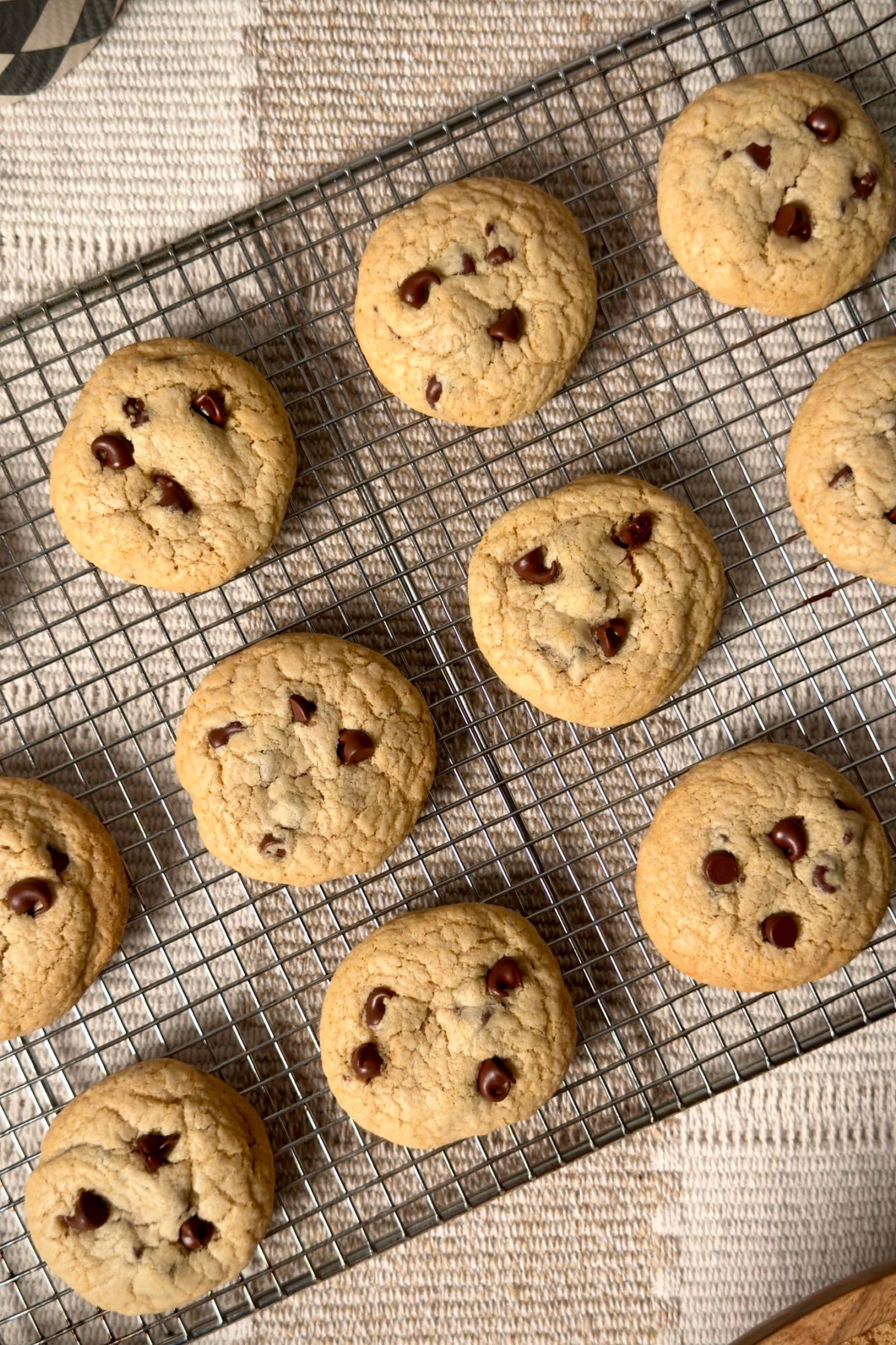 Gluten Free Chocolate Chip Cookies (12 cookies)