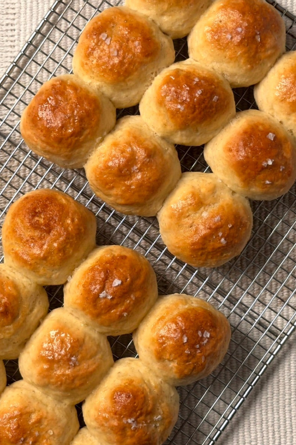 Gluten Free Dinner Rolls (9 rolls)