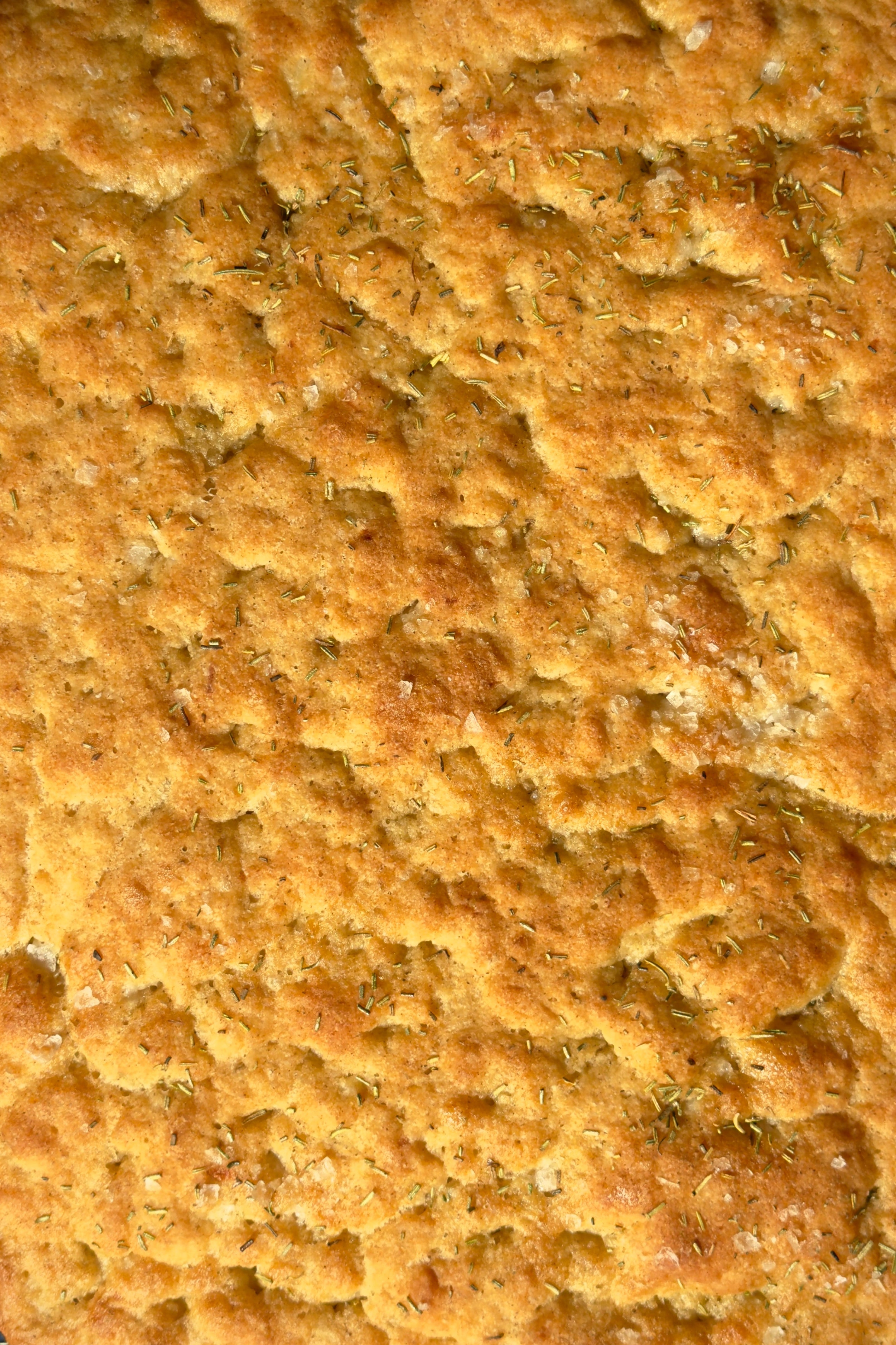 Gluten Free Garlic + Rosemary Focaccia